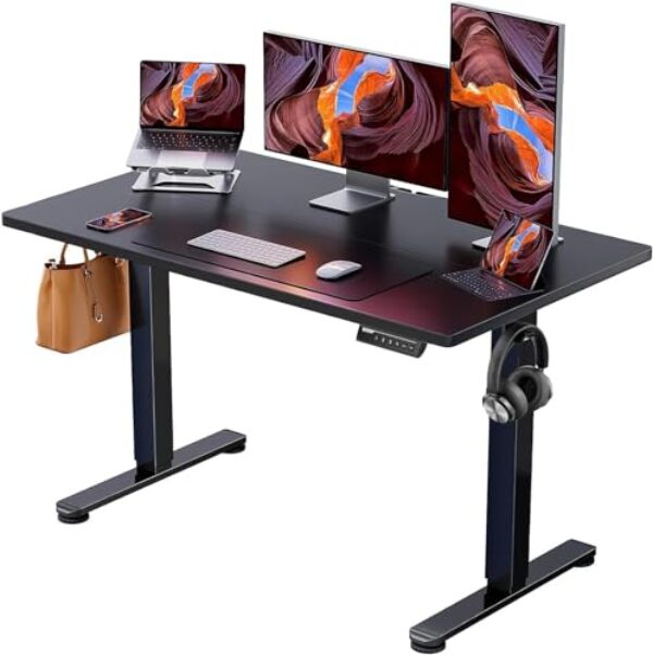 ErGear Height Adjustable Electric Standing Desk, 48 x 24 Inches Sit Stand up Desk, Memory Computer Home Office Desk (Black)