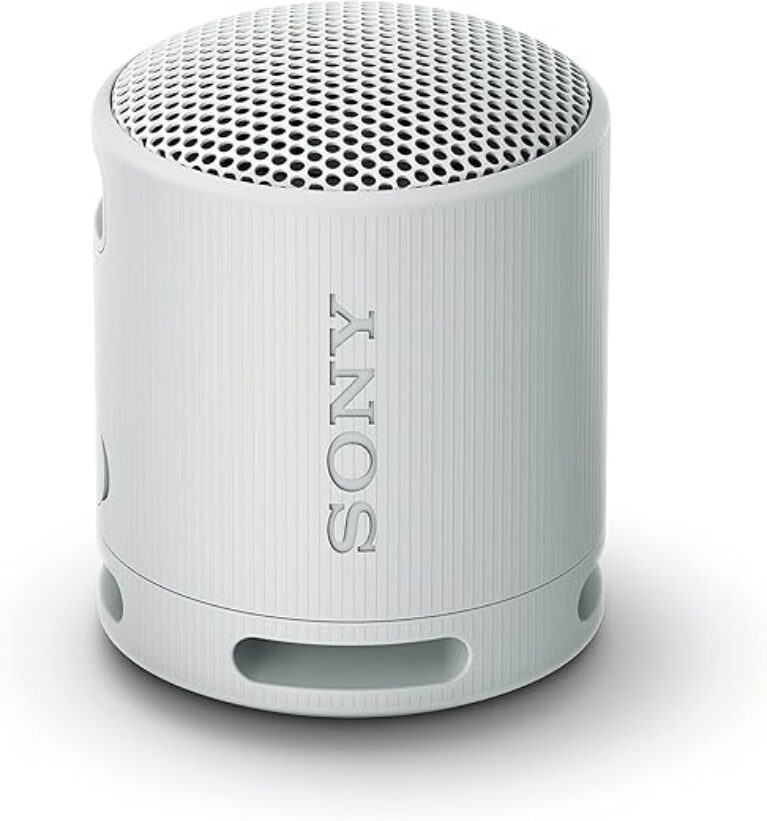 Sony SRSXB100/H Portable Mp3 Player Wireless Speaker Systems Light Gray (Renewed)