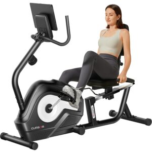 Adjustable Recumbent Exercise Bike for Home