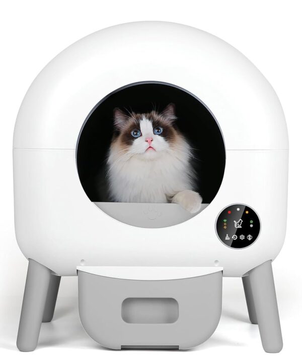 Automatic Self-Cleaning Litter Box for Cats