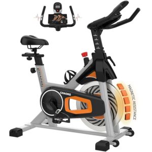 CHAOKE Indoor Exercise Bike with LCD Monitor