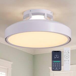 Bladeless Ceiling Fan with Light and Remote