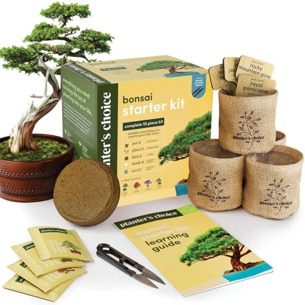 Bonsai Starter Kit - DIY Gardening Gift