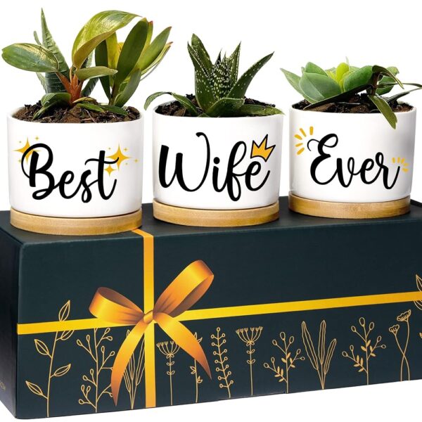 Rosa Vila Wife Planters - Unique Birthday Gift