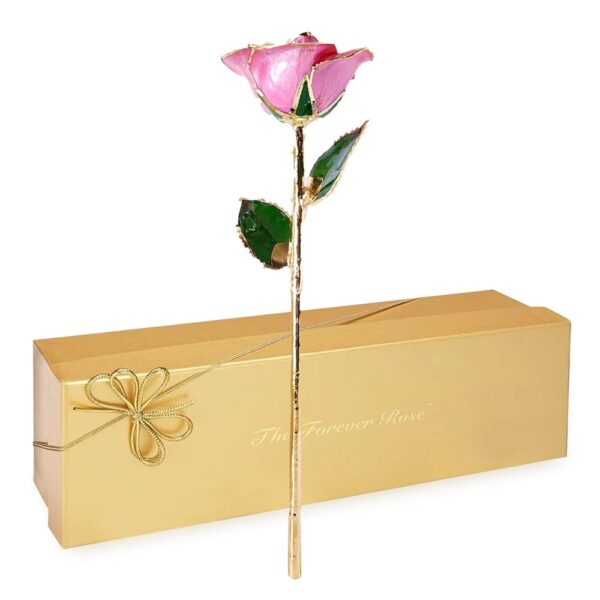 24k Gold Dipped Forever Rose Gift