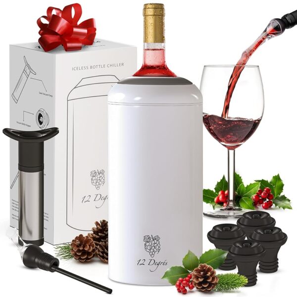 Stainless Steel Wine Chiller Set with Accessories